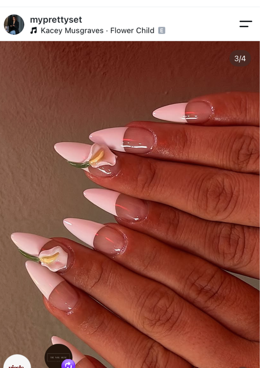 Inspo 4